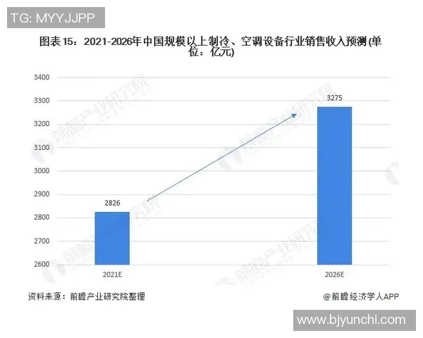 北京篮球队运营策略分析与市场影响深度解读